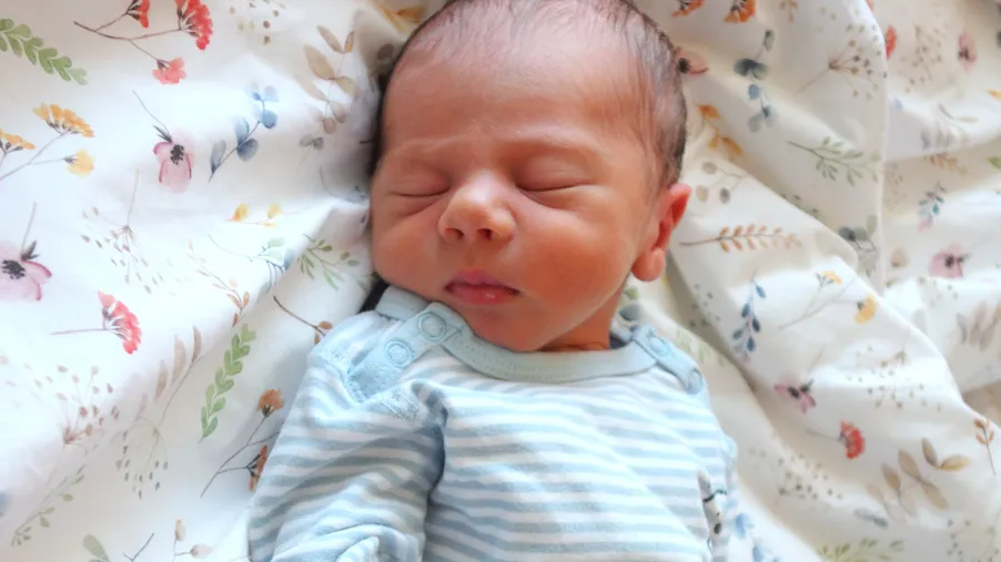 Sebastian